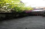 202411271536367846.jpeg